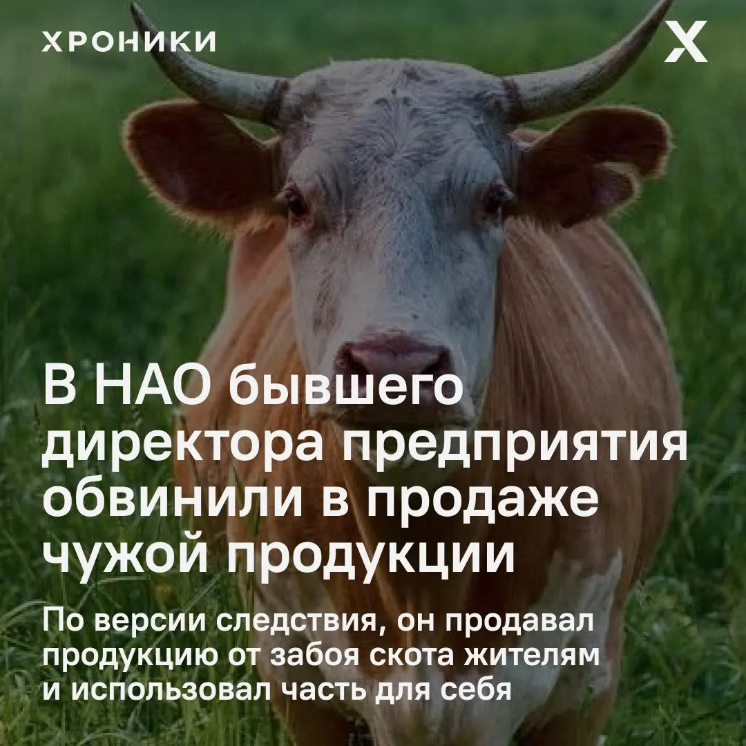 Следствие считает, что в 2022–2025 годах руководитель организовал незаконный забой и сбыт продукции предприятия. Возбуждено уголовное дело по статье о присвоении и растрате в особо крупном размере.