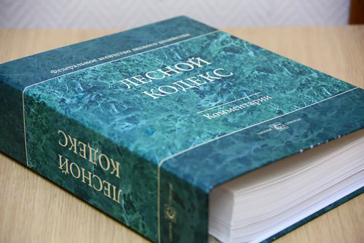 Эксперт по лесному хозяйству отмечает, что многочисленные поправки сделали Лесной кодекс неактуальным; он предлагает заменить его компактным и простым законом, чтобы снизить риски для бизнеса и специалистов.