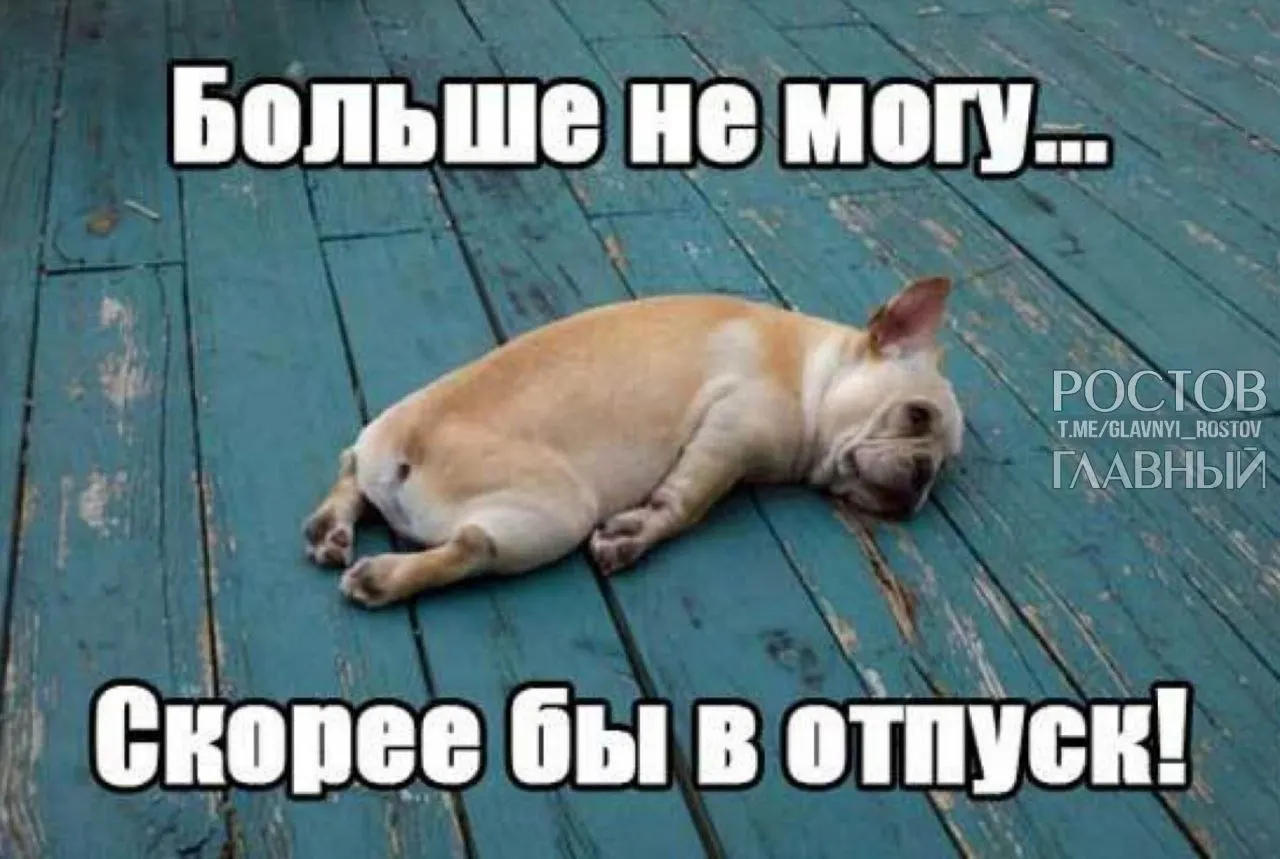 Депутаты предлагают поднять минимальный ежегодный отпуск с 28 до 35 дней, чтобы компенсировать учёт выходных в отпуске и помочь россиянам лучше восстанавливаться и избегать выгорания.