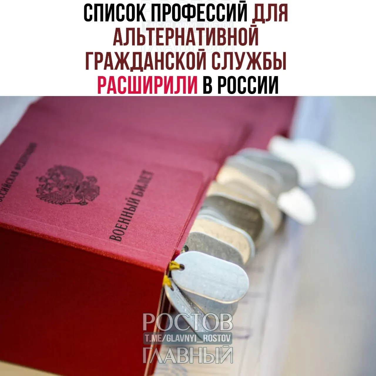 В обновлённый список добавлены врачи, технические специалисты и ремесленники — от травматолога-ортопеда и невролога до настройщиков пианино и лесных пожарных; ранее в перечне было 271 направление.