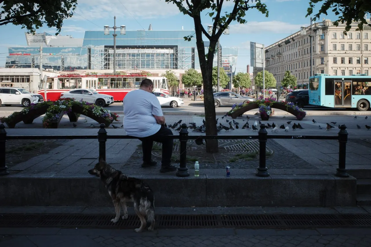 Короткая сводка: в Петербурге присвоили новые названия территориям, в Выборге покосили цветущие ландыши, РЖД назначило дополнительные поезда; кроме того — поправки о счетах несовершеннолетних, сообщения о жертвах в Волгоградской и изменения в библиотечных фондах.