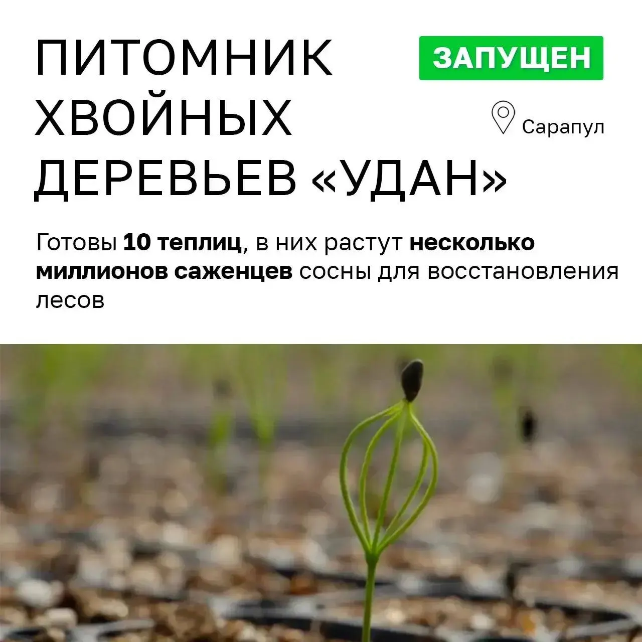 Питомник «УДАН», представленный на ПМЭФ, заявлен как «зелёный» инвестпроект. На деле — многолетняя нулевая выручка, минимальные налоговые поступления и закрытость структуры после смены формы на АО.