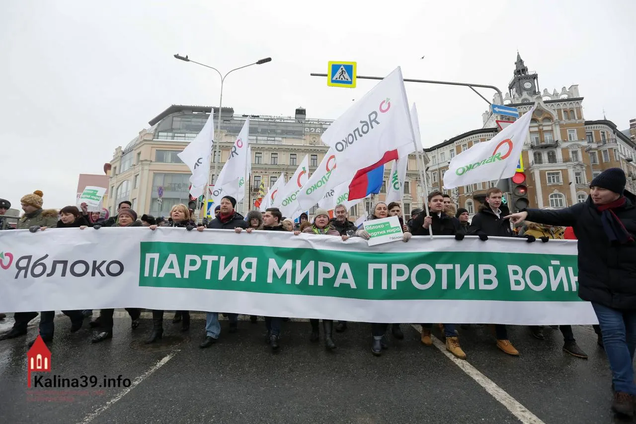 Эксперты считают, что допуск «Яблока» может служить каналом для безопасного выражения протестных настроений; при этом многие известных представителей партии были не допущены к выборам.