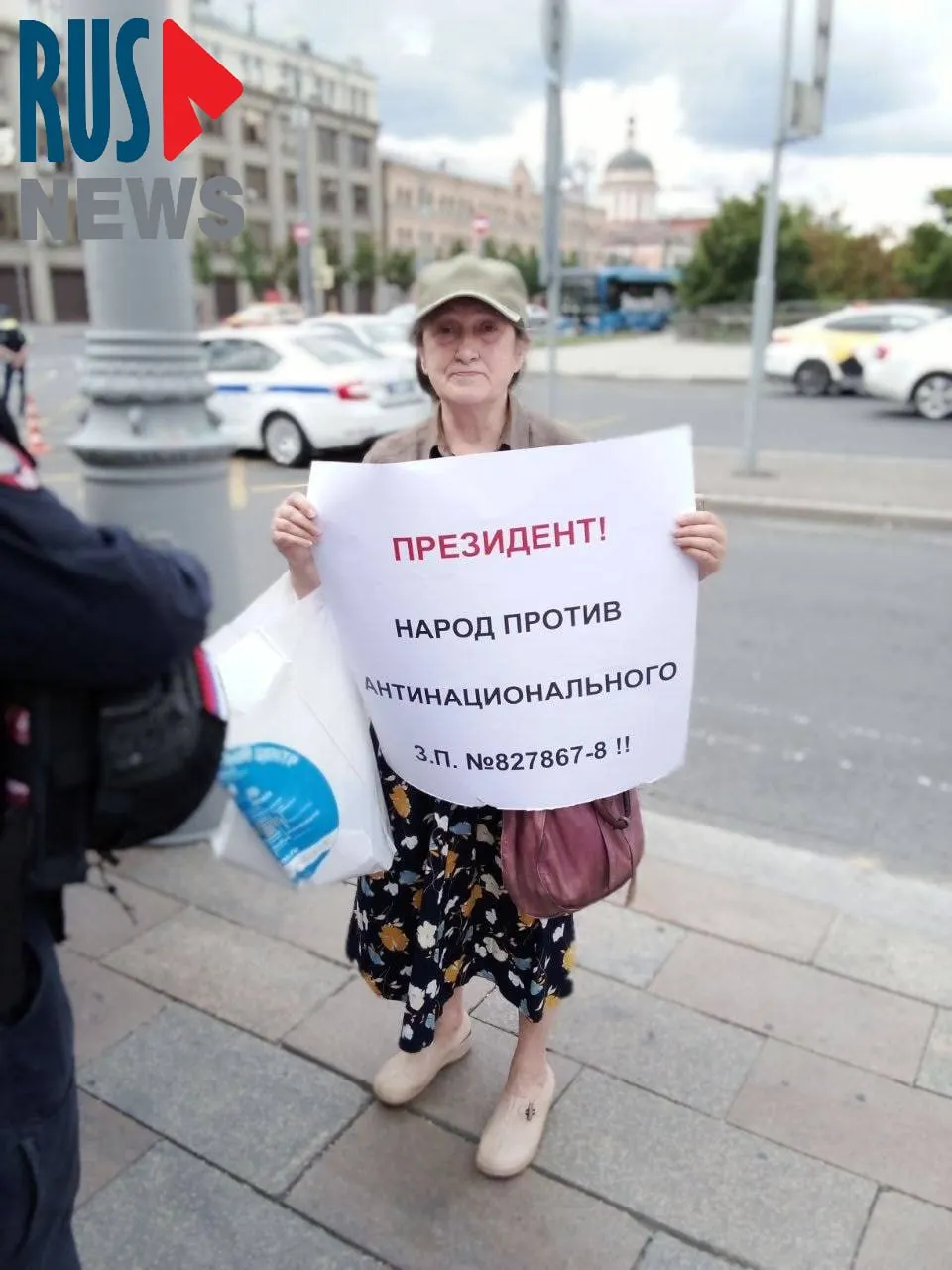 Наталью Шамину, доктора биологических наук и председателя Новосибирского отделения ВООПИК, задержали на Старой площади в Москве после одиночного пикета против законопроекта о передаче регионам права выводить памятники из-под госохраны.