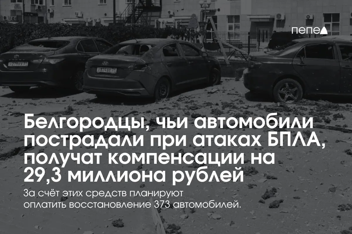 Региональные власти направят 29,3 млн рублей на компенсации: выплаты получат владельцы 373 машин (в среднем по 78,5 тыс. руб. на автомобиль). Выплаты возобновлены после паузы — создан новый фонд и выделена федеральная поддержка.