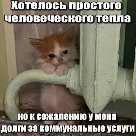 Суд подтвердил, что срок исковой давности в три года препятствует включению в платёжки задолженностей за капитальный ремонт старше этого периода — решение важно для покупателей вторичного жилья и наследников.