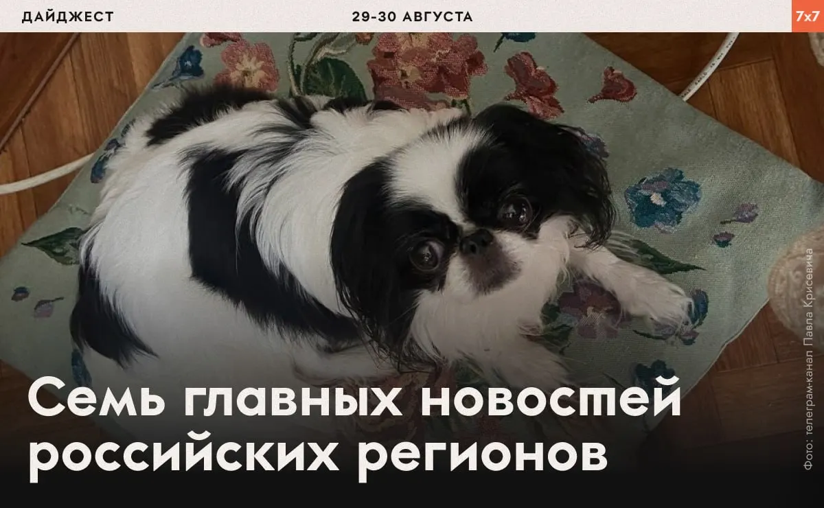 В нескольких регионах фиксируются задержания, давление на активистов и запреты на агитацию за мир и свободу.