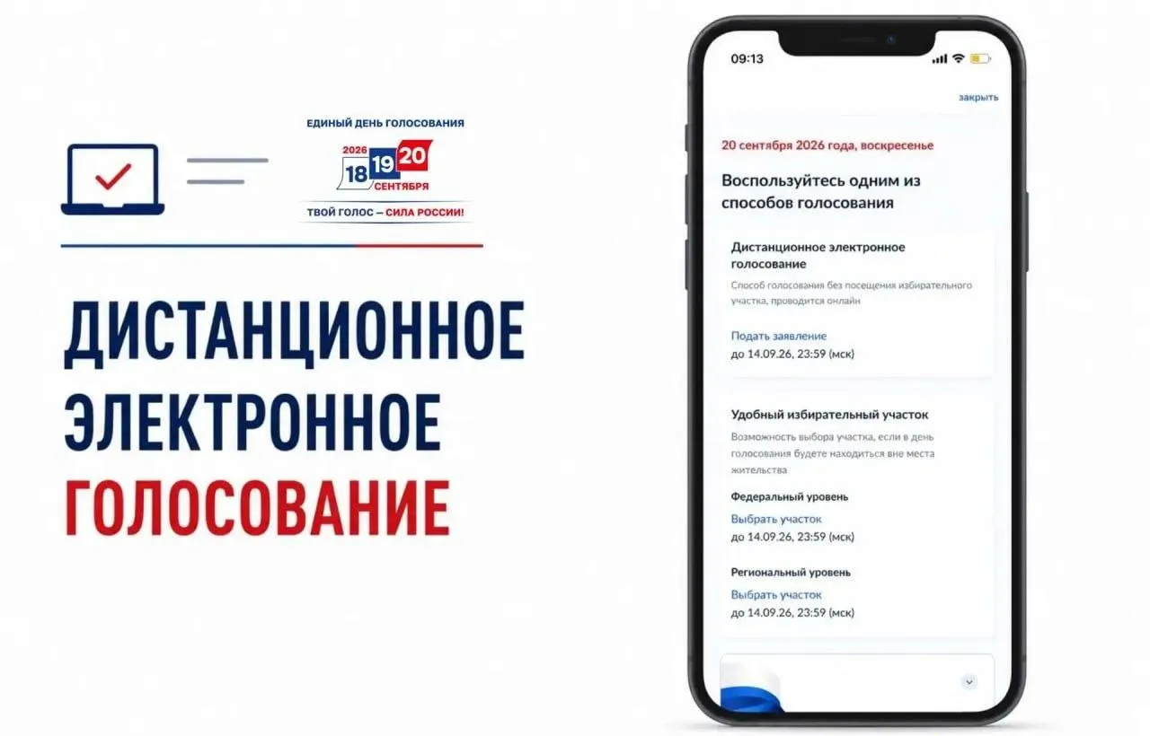 Начался сбор заявлений на дистанционное электронное голосование. Рассматриваем вопросы прозрачности и риски манипуляций.