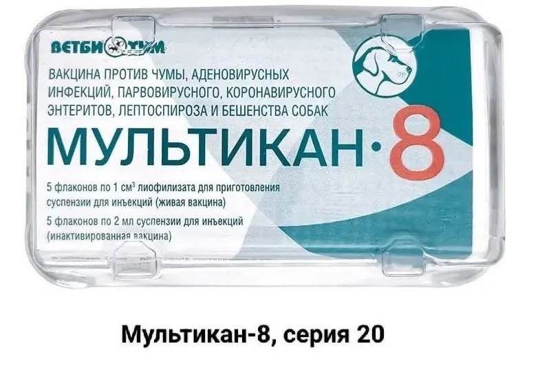 Рассматриваются случаи гибели собак после вакцинации препаратом «Мультикан-8»; владельцы требуют расследования и публикации результатов.