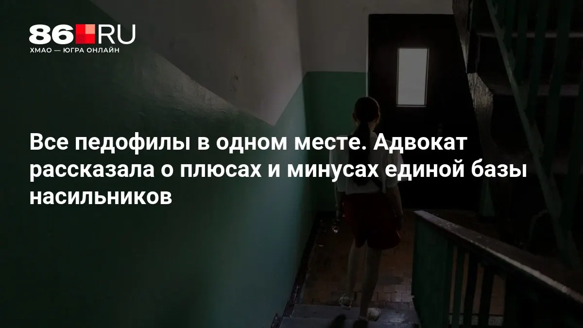 Разработчики обсуждают плюсы и минусы предлагаемой базы, собирающей данные о преступлениях; МВД уже приступило к работе над проектом.