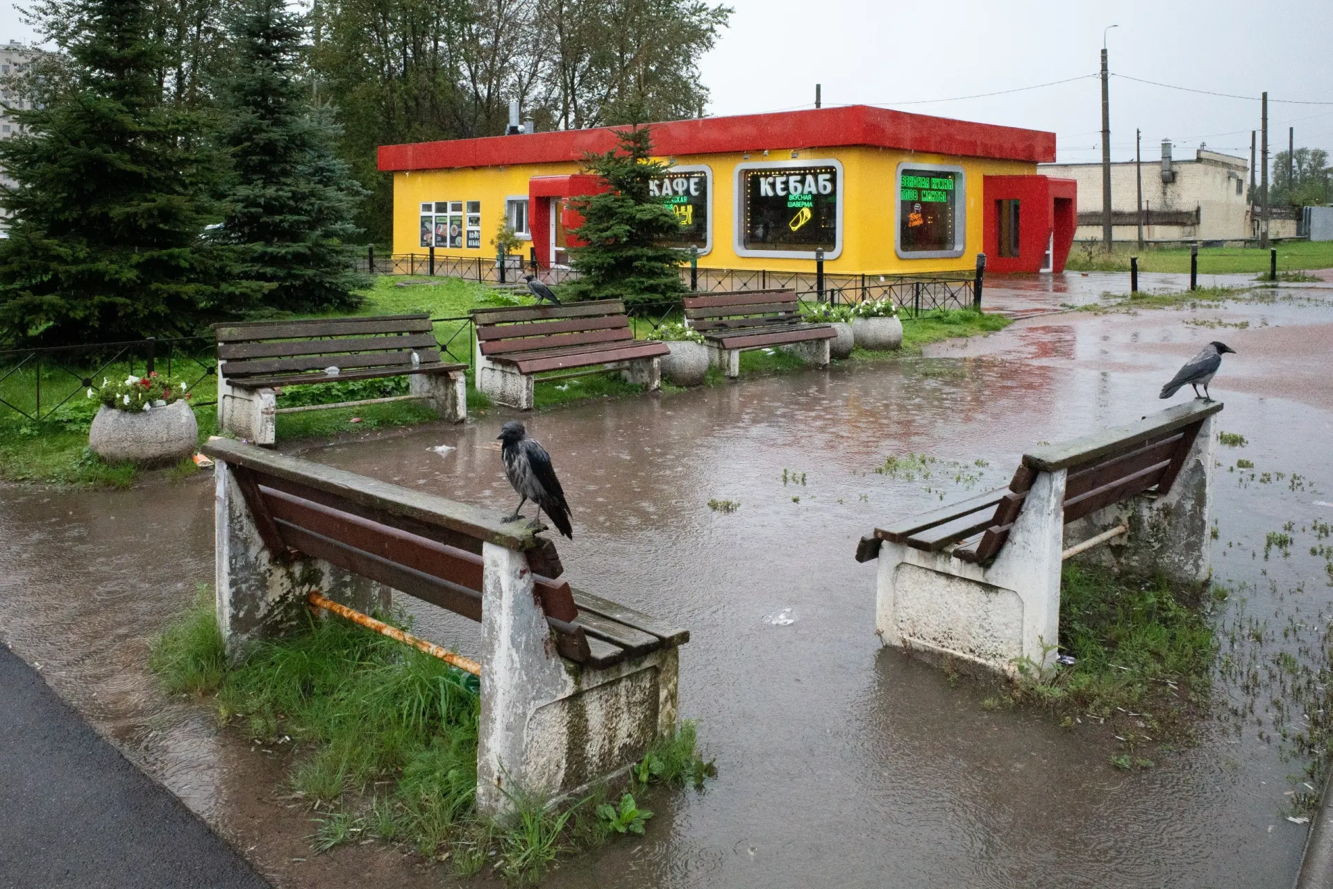 Сводка: в Петербурге расторгли брак экс-депутата; в России — серия резонансных новостей, в мире — новые события.