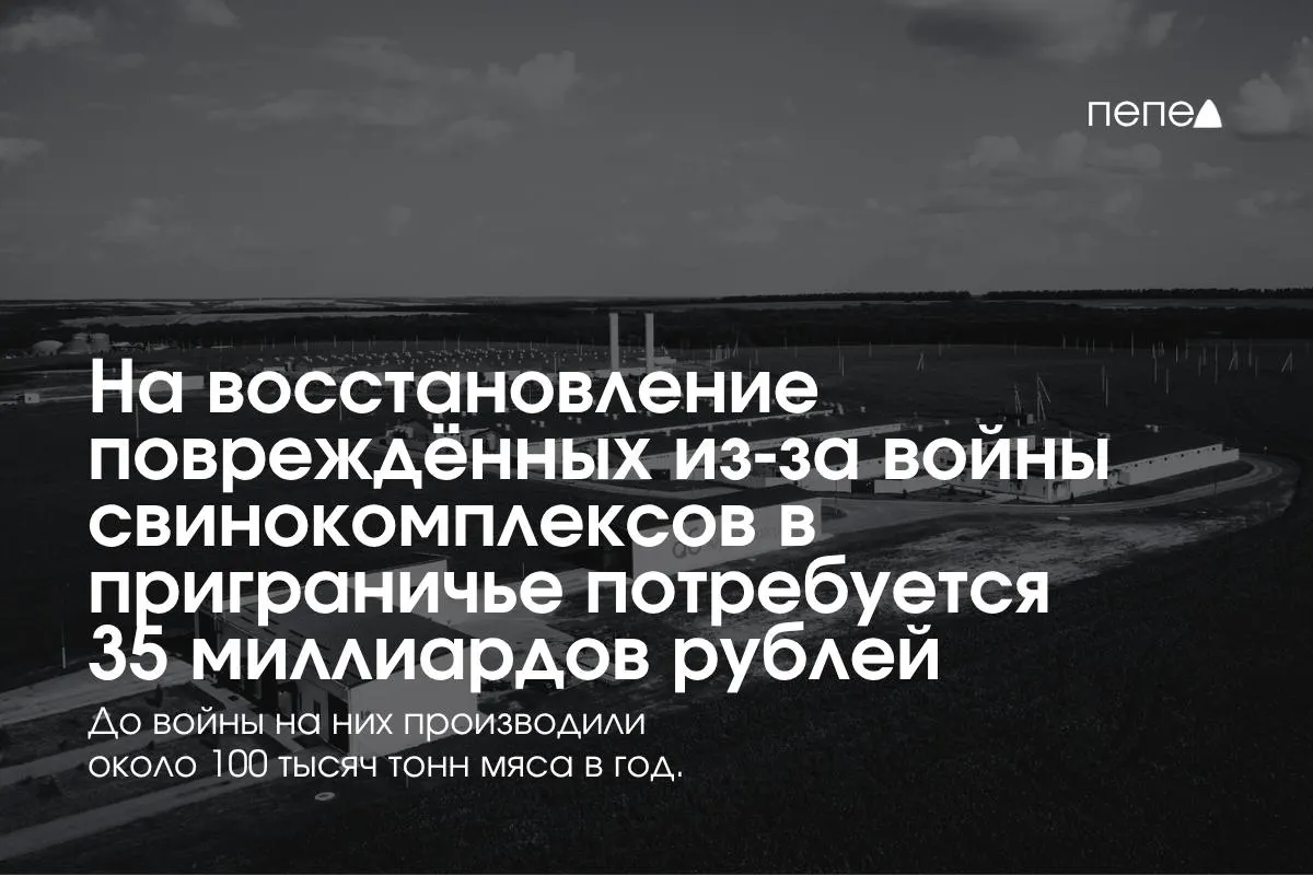 После обстрелов и атак беспилотников Белгородская, Курская и Брянская области сталкиваются с необходимостью восстановления сельского хозяйства; предварительная стоимость — 35 млрд рублей.