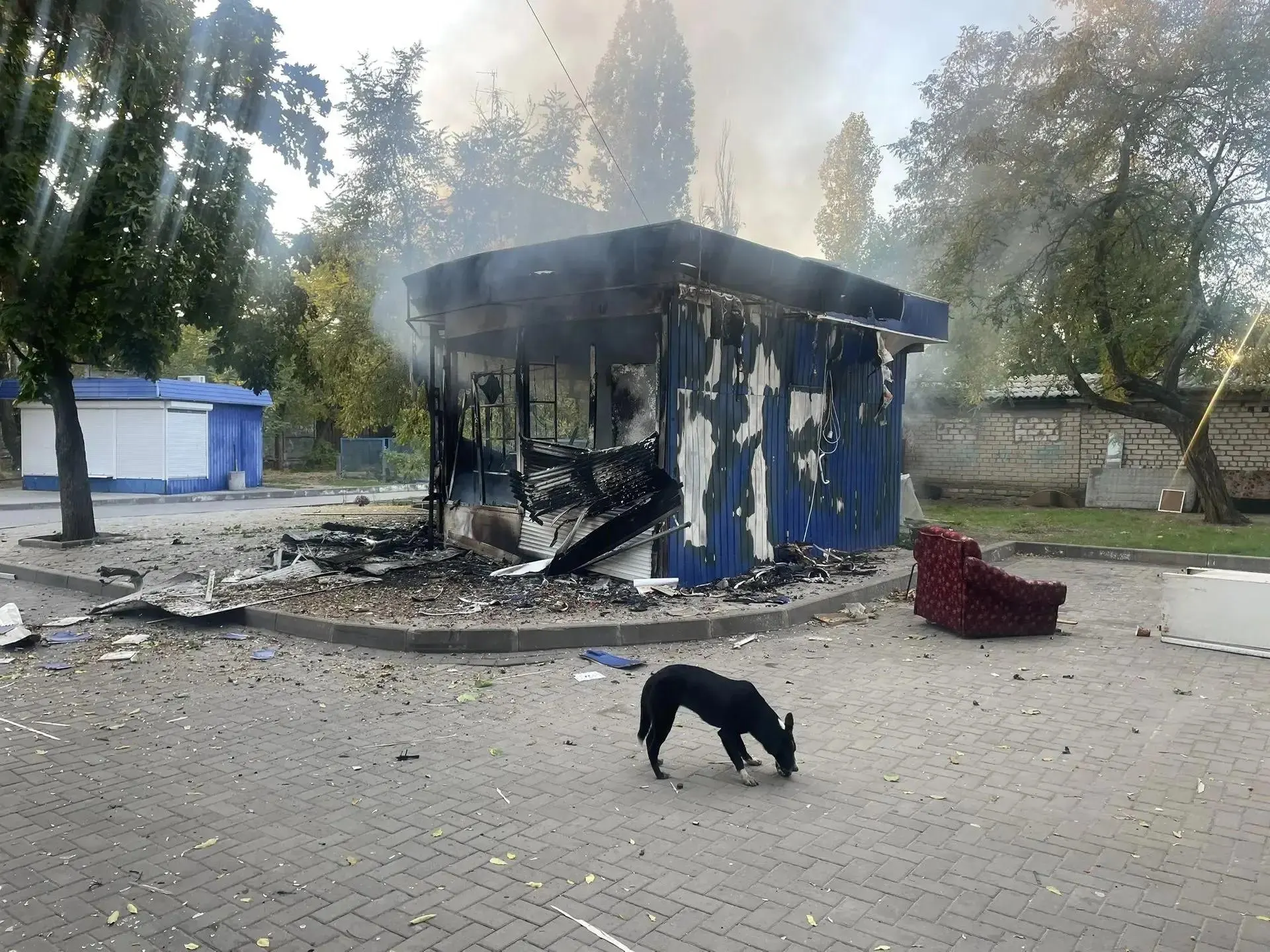 За ночь в центральной части страны зафиксированы наиболее интенсивные атаки беспилотников; есть погибшие и раненые, горит магазин.